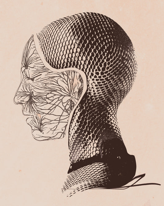 Ex Machina